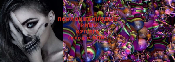 не бодяженный Алзамай