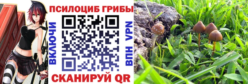 Галлюциногенные грибы Cubensis  hydra ONION  Ипатово  сколько стоит 